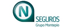 N Seguros